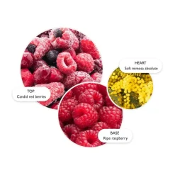 Molton Brown Merry Berries & Mimosa Bath & Shower Gel Online